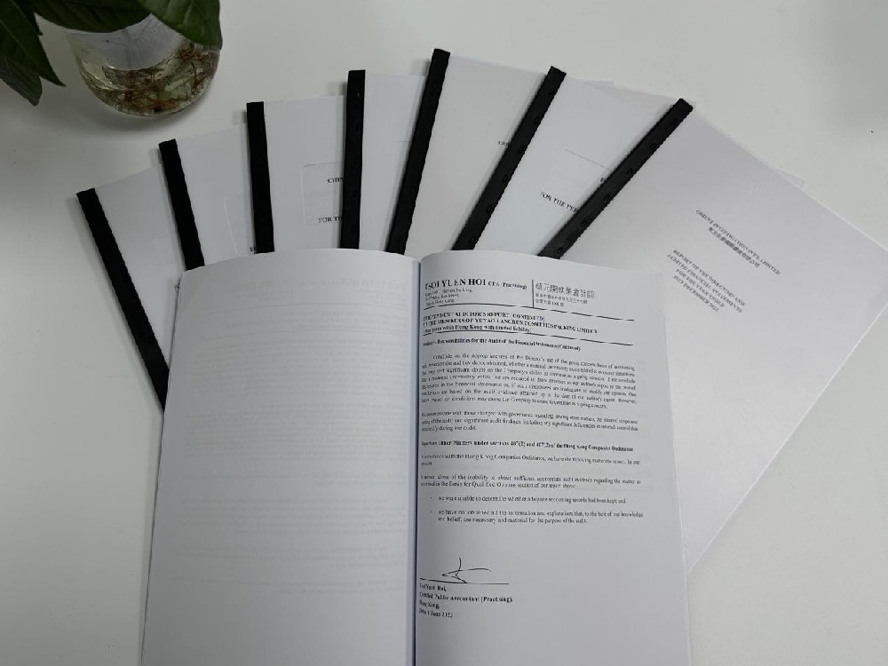 香港公司年审 香港公司年审