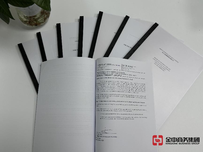 美国公司年审 美国公司年审